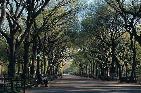 Central Park Promenade