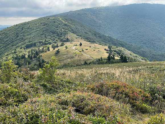 IMG_1961